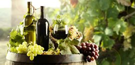 Viinin valmistus, tislaamot, öljyn ja siementen käsittely